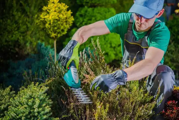 landscaping services Water Valley